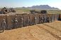 Proteção do exército da parede da suficiência da barreira do bastião da cerca dos sacos de areia de Hesco da malha de mil. Gabion fornecedor